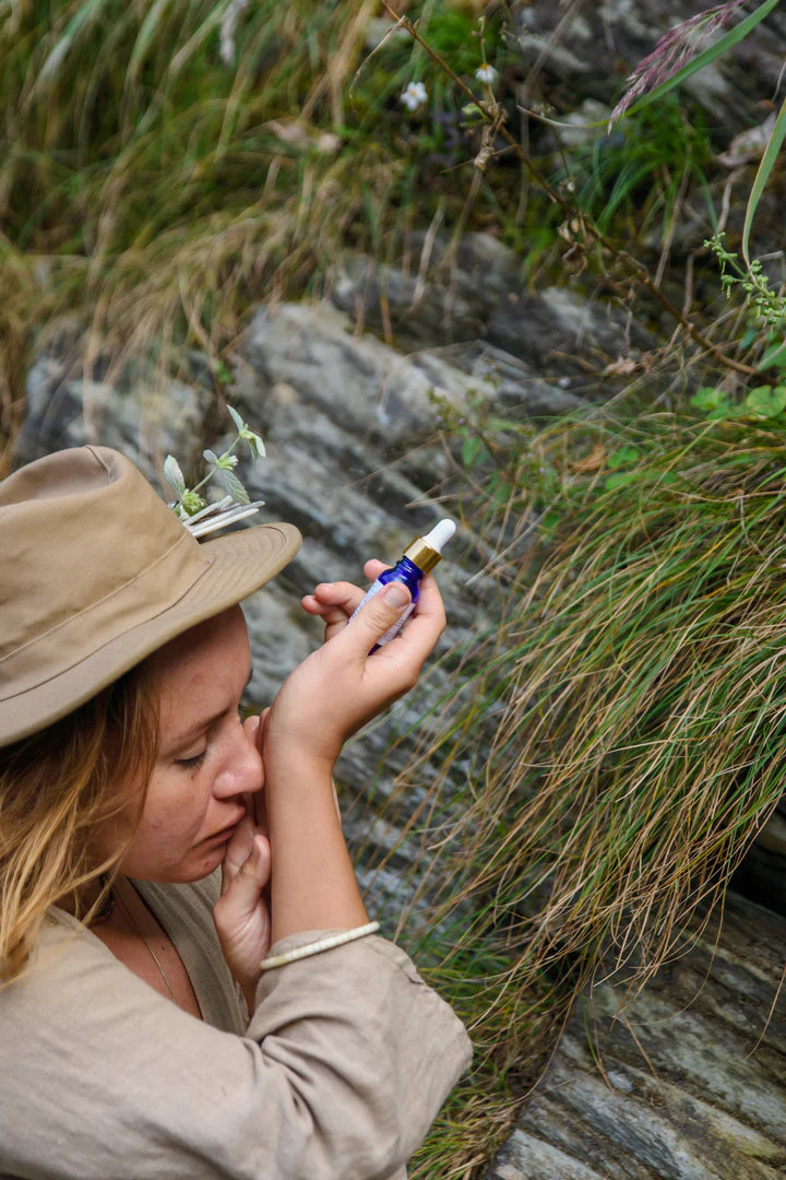 PLANT MEDICINE COURSE: 26TH, 27TH, 28TH AUGUST, MELANCOOSE, CORNWALL, UK